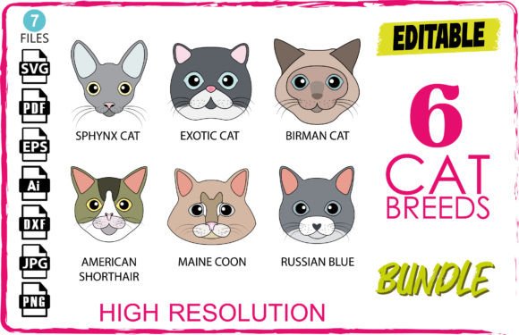 6 Cat Breeds Embroidery Bundle Review