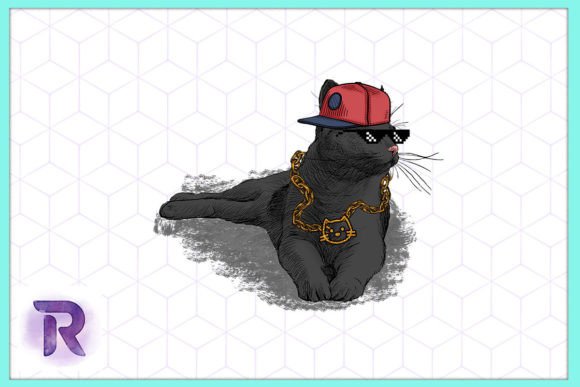Funny Hip Hop Cat with Glasses PNG Review
